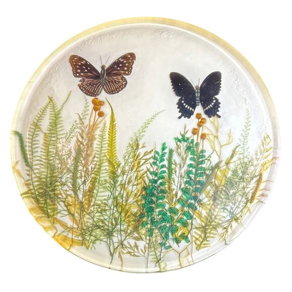 Vintage resin Botanical Butterfly plate Art- some wear and yellowing - Picture 1 of 8